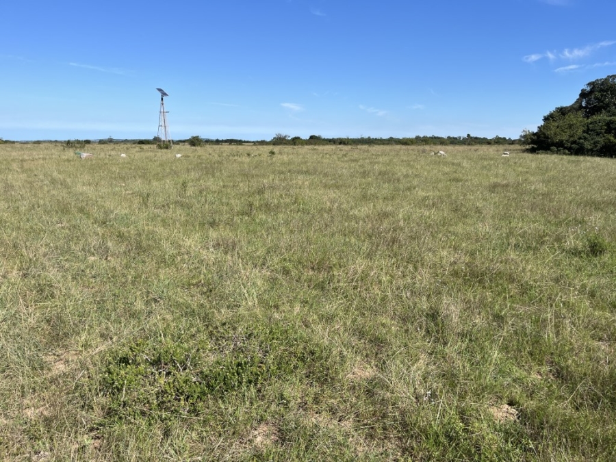 Commercial Property for Sale in Bathurst Rural Eastern Cape